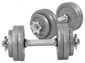 Set d'haltères courts de 30 kg avec disques en fonte gris